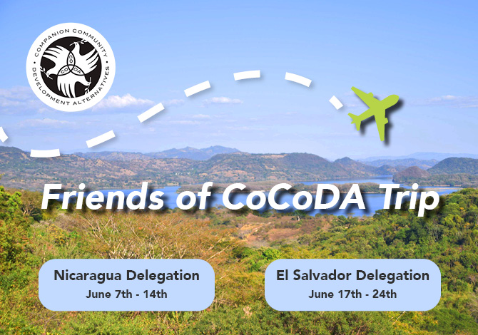 Friends of CoCoDA Website thumbnail